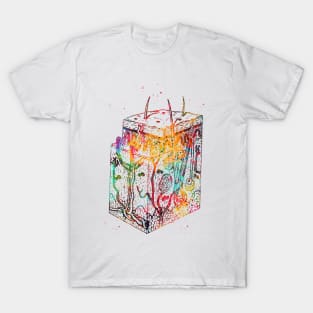 Anatomical skin layers T-Shirt